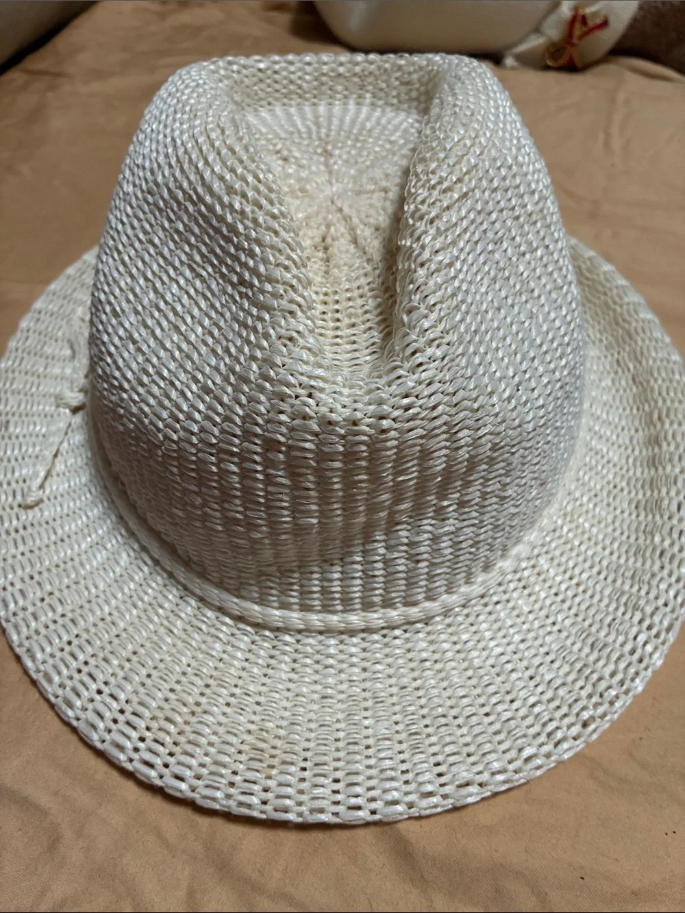 Woven Straw Fedora Hat in Off-White